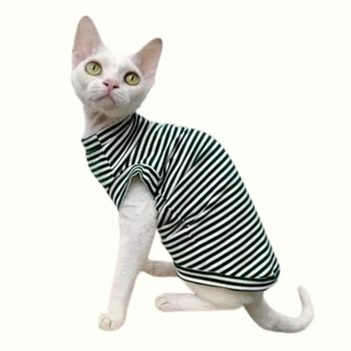 Classic Stripe Sleeveless Sphynx Cat Tee Shirt