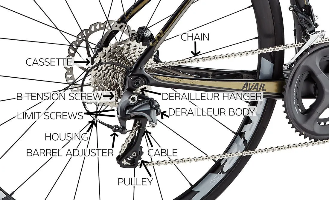 Shimano Tourney TX 7 speed  Rear Derailleur RD-TY300 - Live 4 Bikes