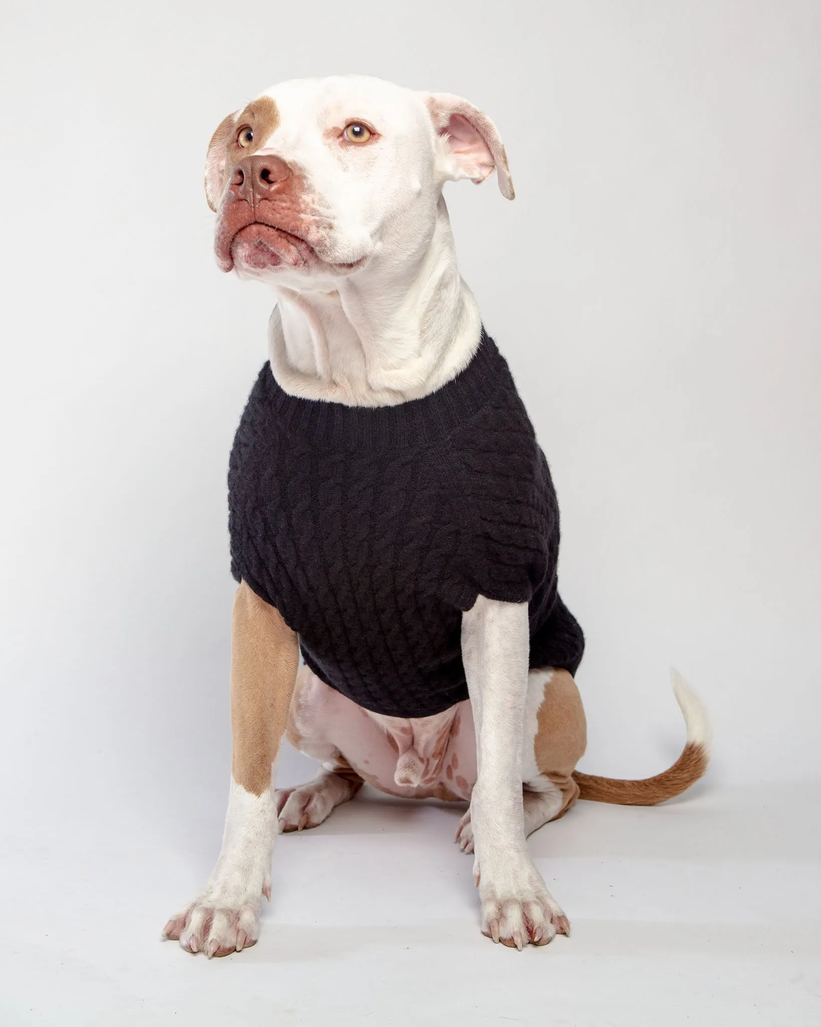 The Uptown Cable Knit Sweater in Black Cashmere (Made in NYC)